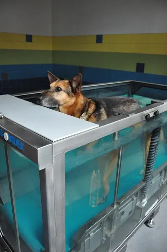 Weterynaryjny Ośrodek Rehabilitacji Aquawet